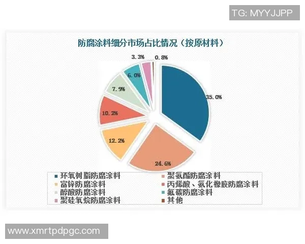 成都排球队技术分析与战术创新的深度探讨与展望