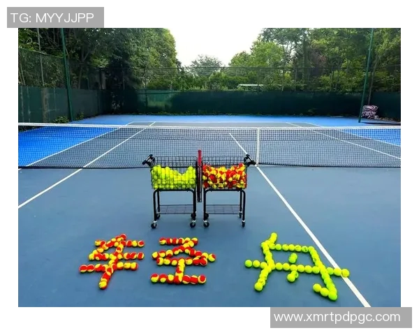 网球新手必看：从零基础到比赛高手的全面入门指南