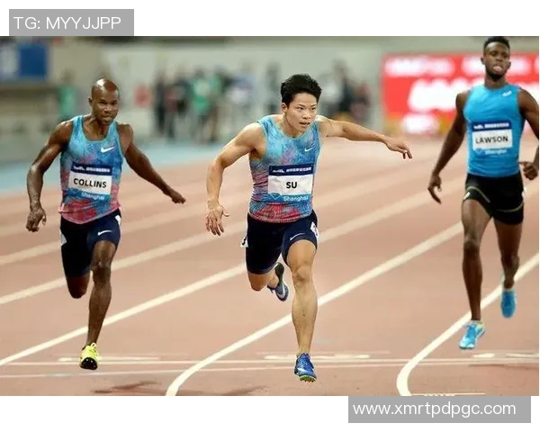 西安排球队在钻石联赛积分榜上以73分稳居第一名引发关注