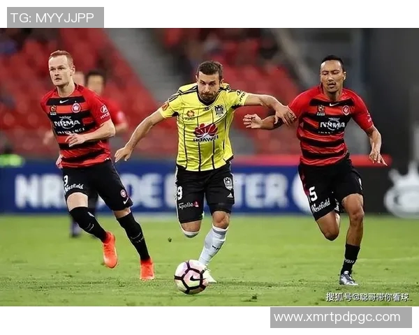 北京北控迎战惠灵顿凤凰力争主场胜利展现球队实力与风采 北京北控迎战惠灵顿凤凰力争主场胜利展现球队实力与风采