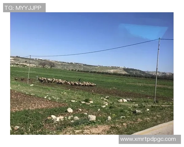 探索阿拉巴的魅力与文化底蕴，揭开这片土地的神秘面纱