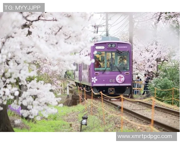 草津温泉与大阪樱花的魅力对决：温泉与樱花的完美融合之旅