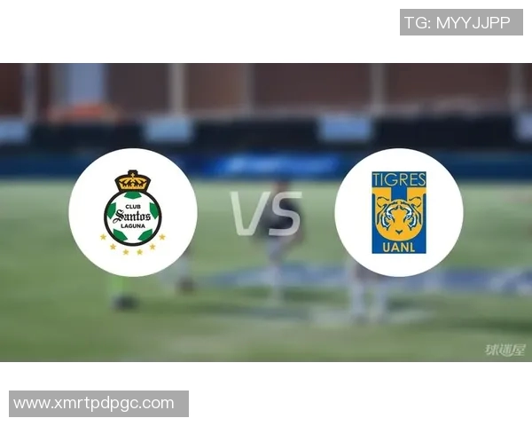 2017年墨美洲对阵老虎大学的精彩赛事回顾与分析